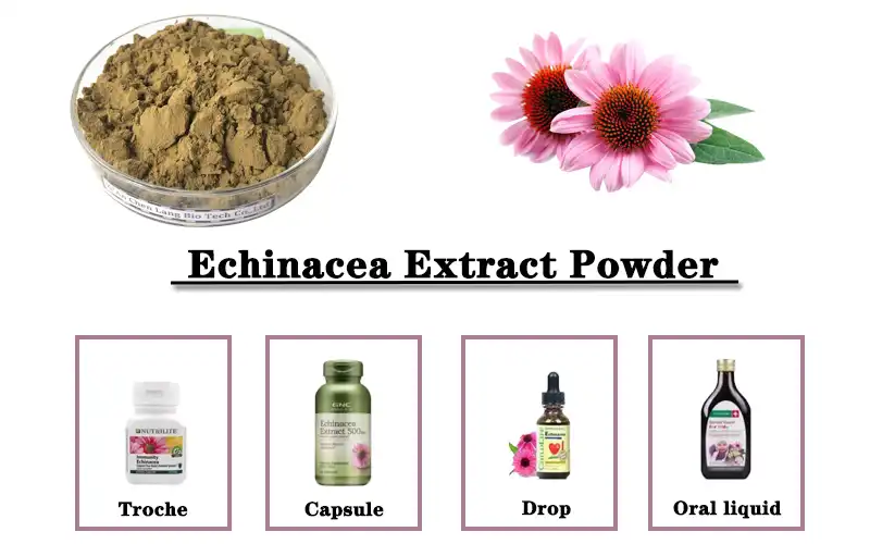 Echinacea Extract Powder.jpg
